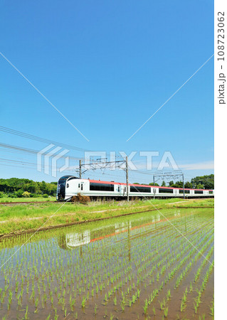 千葉県 青空の田園を走る電車(成田エクスプレス) 千葉県 青空の田園を走る電車(成田エクスプレス) 108723062