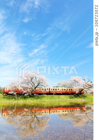 千葉県 春の桜と小湊鉄道 千葉県 春の桜と小湊鉄道 108723072