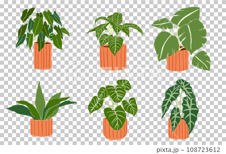 Beautiful houseplant decoration illustration set Beautiful houseplant decoration illustration set 108723612