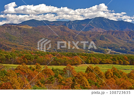 八ヶ岳　まきば公園　紅葉景色 108723635