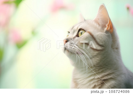 Close-up of cute cat gazing at something with beautiful bokeh background, Generative AI 108724086
