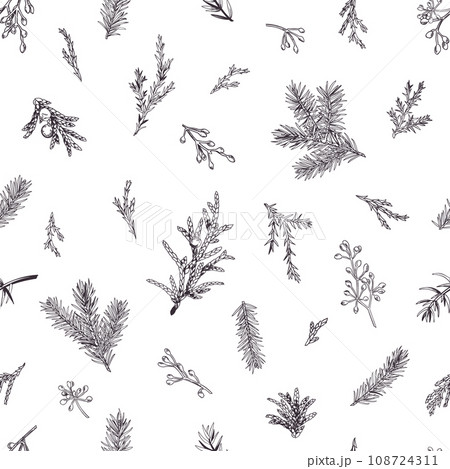 Simple botanical seamless pattern with evergreens. Winter background. Botanical illustration. Art line style. Black. Outline, no fill. 108724311