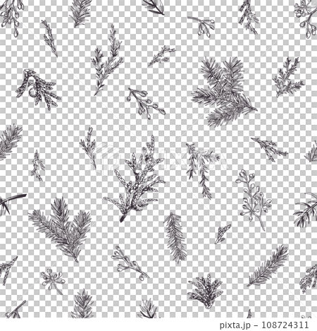Simple botanical seamless pattern with evergreens. Winter background. Botanical illustration. Art line style. Black. Outline, no fill. 108724311