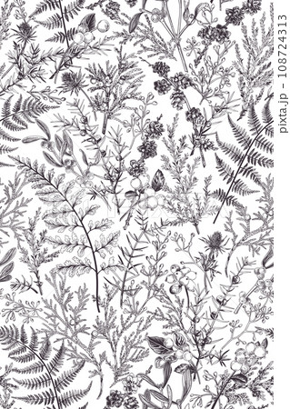 Forest seamless pattern. Vertical. Vegetable background with conifers, ferns, cones, berries. Botanical illustration. Art line style. Black. Outline, no fill. 108724313