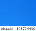 青空を飛ぶ赤とんぼ 108724430