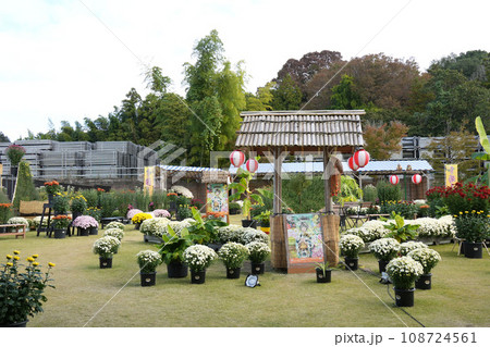 笠間菊祭り 笠間菊祭り 108724561