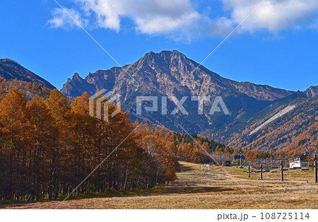 八ヶ岳　秋晴れの紅葉景色 108725114