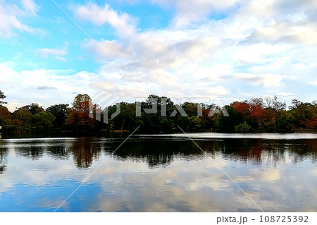秋の服部緑地公園 秋の服部緑地公園 108725392