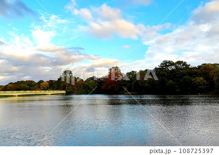 秋の服部緑地公園 秋の服部緑地公園 108725397