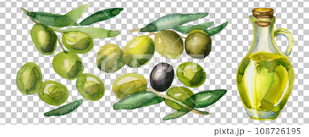 水彩で描いたオリーブとオリーブオイルのイラスト 108726195