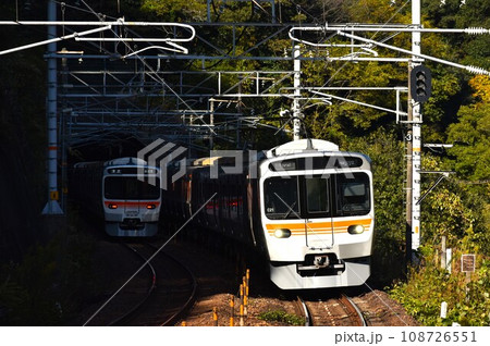 JR東海315系電車 JR東海315系電車 108726551
