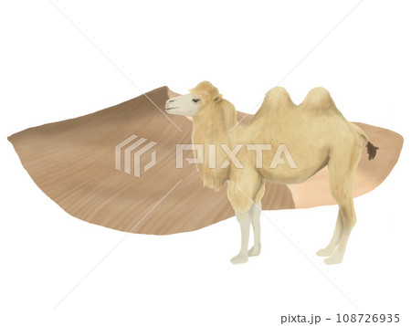 ラクダと砂漠のイラスト ラクダと砂漠のイラスト 108726935