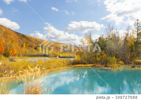 北海道美瑛-秋の青池-02 108727088