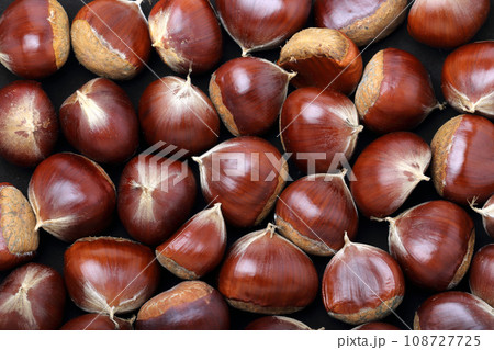 たくさんの栗 108727725