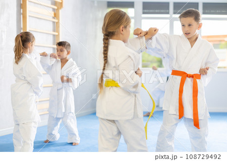 Children in kimono practicing karate in sports gym. Martial arts training session 108729492