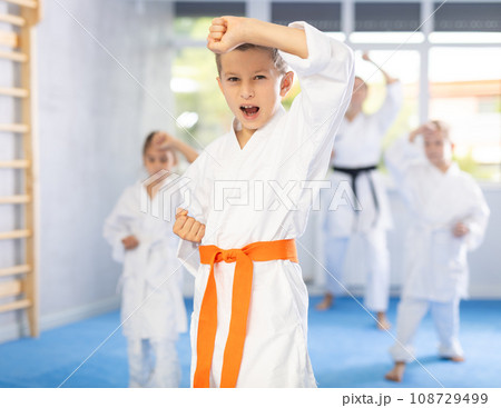 Kids during karate training. Martial arts. Active lifestyle concept 108729499
