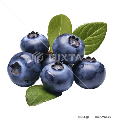 tasty dark blue blueberries isolated 108729835