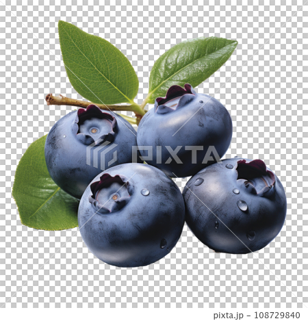 tasty dark blue blueberries isolated tasty dark blue blueberries isolated 108729840