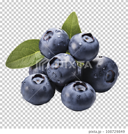 tasty dark blue blueberries isolated tasty dark blue blueberries isolated 108729849