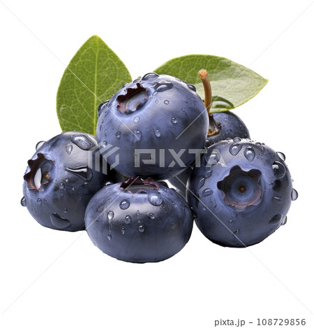 tasty dark blue blueberries isolated tasty dark blue blueberries isolated 108729856