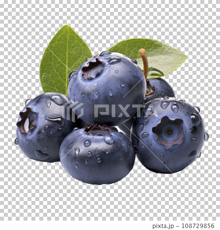 tasty dark blue blueberries isolated tasty dark blue blueberries isolated 108729856