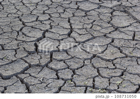 The ground has cracks in the top view for the background or graphic design with the concept of drought and death 108731050