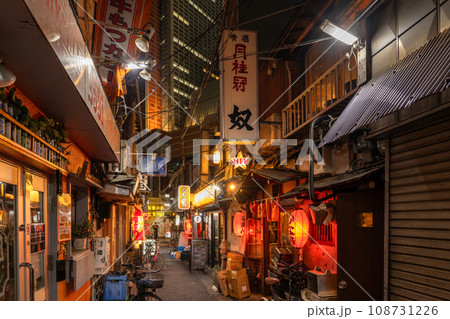 《東京都》昭和レトロな路地裏飲み屋街・三軒茶屋 108731226