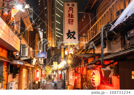 《東京都》昭和レトロな路地裏飲み屋街・三軒茶屋 108731234