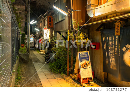 《東京都》昭和レトロな路地裏飲み屋街・三軒茶屋 108731277