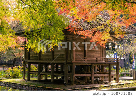 中尊寺の紅葉 中尊寺の紅葉 108731388