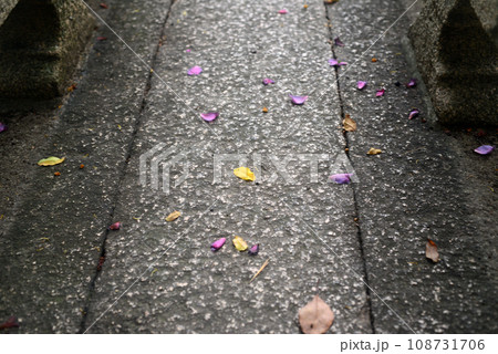 伊丹昆陽寺石畳の落花-1 108731706