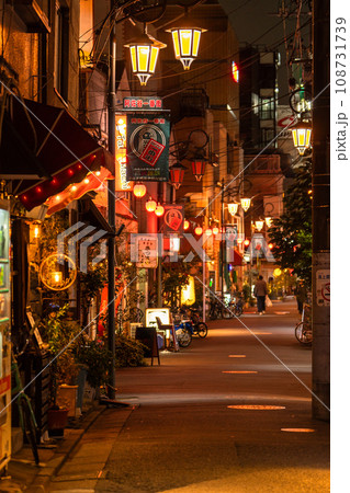 《東京都》昭和レトロな飲み屋街・阿佐ヶ谷一番街 《東京都》昭和レトロな飲み屋街・阿佐ヶ谷一番街 108731739