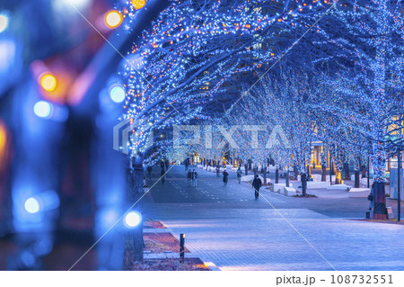 みなとみらいグランモール公園のイルミネーション【神奈川県・横浜市】 みなとみらいグランモール公園のイルミネーション【神奈川県・横浜市】 108732551