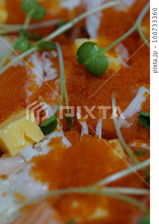 ちらし寿司 ちらし寿司 108733360