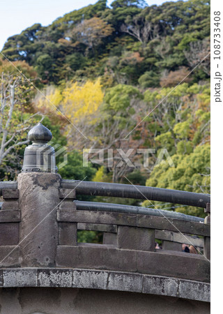 鎌倉11月 鶴岡八幡宮2 鎌倉11月 鶴岡八幡宮2 108733408