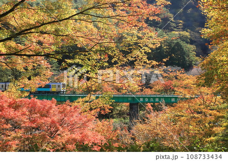 水郡線「矢祭山のもみじ紅葉グラデーション風景」 108733434