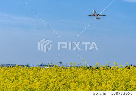 うららかな春空に映える菜の花畑と航空機(飛行場) 阿蘇くまもと空港周辺 うららかな春空に映える菜の花畑と航空機(飛行場) 阿蘇くまもと空港周辺 108733656