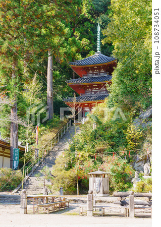 【奈良県】大和郡山市 松尾寺 (2023/11/08 撮影) 108734051