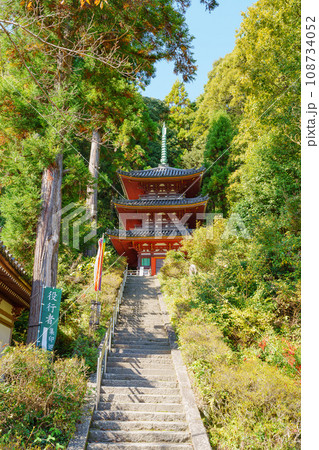 【奈良県】大和郡山市 松尾寺 (2023/11/08 撮影) 【奈良県】大和郡山市 松尾寺 (2023/11/08 撮影) 108734052