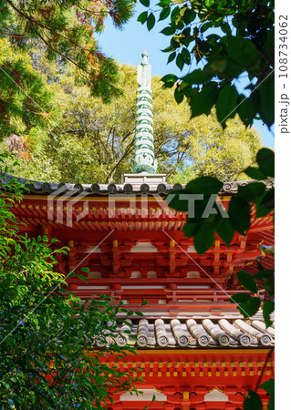 【奈良県】大和郡山市 松尾寺 (2023/11/08 撮影) 108734062