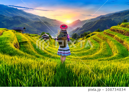 Hmong ethnic minority women standing on rice terraces in Mu Cang Chai, Yen Bai, Vietnam. 108734834