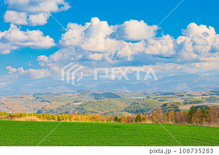 秋の美瑛の風景 108735283