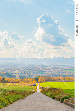 秋の美瑛の風景 秋の美瑛の風景 108735300