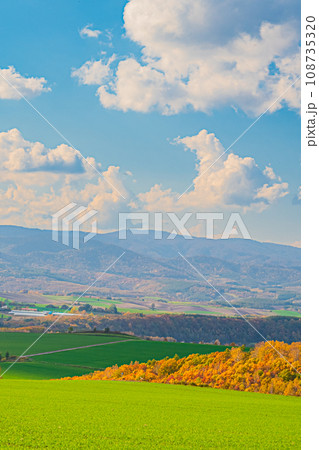 秋の美瑛の風景 108735320