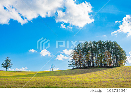 秋の美瑛の風景 108735344