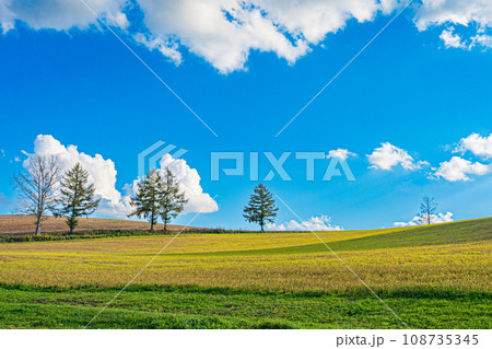 秋の美瑛の風景 108735345