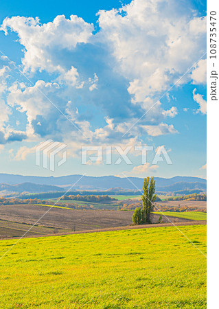美瑛の秋の風景 108735470