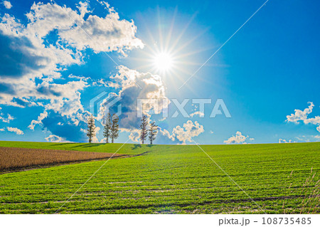 美瑛の秋の風景 美瑛の秋の風景 108735485