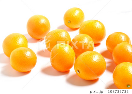 完熟したキンカン 108735732