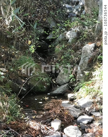 山の中の小さな流れ 山の中の小さな流れ 108736544